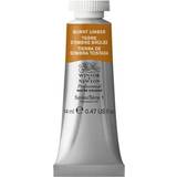 Water Colours Winsor & Newton Professional Water Color Burnt Umber 14ml
