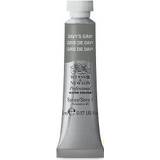 Grey Water Colours Winsor & Newton Professional Water Color Davy's Gray 5ml