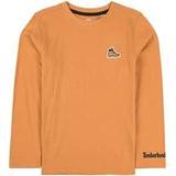 Timberland Boot Logo T-shirt - Brown (T25S75)