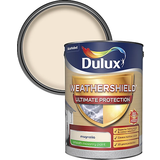 Dulux Concrete Paint Dulux Weathershield Ultimate Protection Smooth Masonry Wall Paint Sandstone 5L