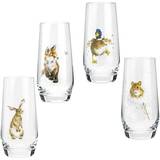 Wrendale Designs Glasses Wrendale Designs Assorted Country Animals Hiball Drinking Glass 55cl 4pcs