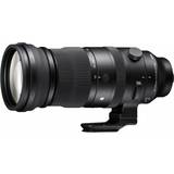Sigma 150 600mm SIGMA 150-600mm F5-6.3 DG DN OS Sports for L-Mount