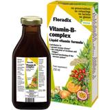 Vitamins & Supplements Floradix Vitamin B Complex 250ml