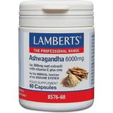 Lamberts Vitamins & Supplements Lamberts Ashwagandha 6000mg 60 pcs
