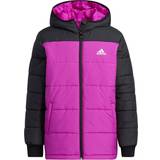 Boys adidas padded jacket adidas Junior Padded Winter Jacket - Sonic Fuchsia/Black/White (H45028)