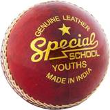 Readers Special Schools Training Cricket Ball