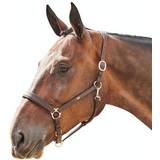 Halters & Lead Ropes on sale Whitaker Ready to Ride Head Collar