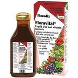 Glutenfree Vitamins & Minerals Floradix Floravital 250ml