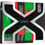 Advent Calendars Lynx Africa 12 Day Countdown To Christmas Advent Calendar 2020 12-pack