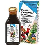 Floradix Kindervital Formula for Children 250ml