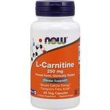 L-Carnitine Amino Acids Now Foods L Carnitine 250mg 60 pcs