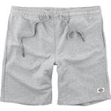 Dickies Champlin Shorts - Grey Melange