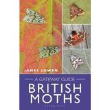 Spiral-bound Books British Moths (Spiral-bound)
