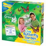 Plastic Science Experiment Kits Liniex Insect Lore Live Butterfly Garden