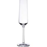 Schott Zwiesel Pure Champagne Glass 21.5cl 6pcs
