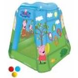 Ball Pit Simba Peppa Pig Inflatable Ball Pit