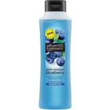 Alberto Balsam Shampoos Alberto Balsam Anti-Oxidant Blueberry Shampoo 350ml