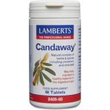 Lamberts Gut Health Lamberts Candaway 60 pcs