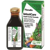 Floradix Vitamins & Supplements Floradix IntestCare 250ml 250ml
