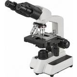 Slides Outdoor Toys Bresser Researcher Bino 40-1000x Microscope