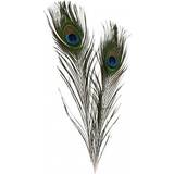 Feathers Peacock feathers, L: 25-30 cm, 10 pc/ 1 pack