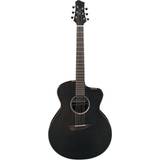 Acoustic Guitars Ibanez JGM5