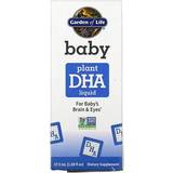 Liquids Fatty Acids Garden of Life Baby plant DHA 37.5ml Liquid