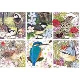 Otter House RSPB Garden Birds 1000 Pieces