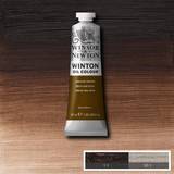 Winsor & Newton Winton Oil Colours 37 ml Vandyke brown 676