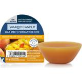 Orange Wax Melt Yankee Candle Mango Peach Salsa Wax Melt