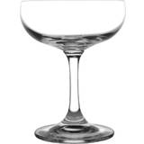 Olympia Champagne Glasses Olympia Bar Collection Champagne Glass 20cl 6pcs
