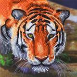 Arts & Crafts Tiger Crystal Art Card Kit