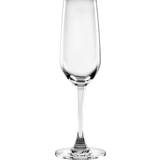 Olympia Champagne Glasses Olympia Mendoza Champagne Glass 18.5cl 6pcs