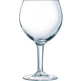 Olympia Drink Glasses Olympia - Drink Glass 62cl 6pcs