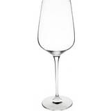 Olympia Wine Glasses Olympia Claro White Wine Glass 40cl 6pcs