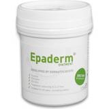 Skincare Epaderm Ointment 125g