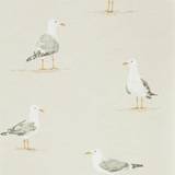 Sanderson Wallpaper Shore Birds 216563