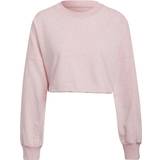adidas Women's Sportswear Studio Lounge Summer Crew Sweatshirt - Botanic Pink Mel