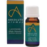 Absolute Aromas Lavender Oil 10ml
