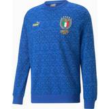Jackets & Sweaters Puma FIGC Graphic Winner Sweatshirt 21/22 Sr