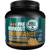 Potassium Pre-Workouts Gold Nutrition Pre Workout Endurance Orange 300g