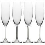 Glass Champagne Glasses Mikasa Julie Champagne Glass 23cl 4pcs