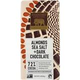 Endangered Species Almonds, Sea Salt + Dark Chocolate 85g