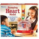 Learning Resources Doctor Toys Learning Resources Pumping Heart Model