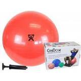 Cando CanDo Inflatable Exercise Ball Economy Set 30" (75 cm) Ball, Pump, Retail Box