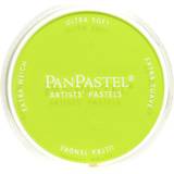 PanPastel Artists' Pastels bright yellow green 680.5 9 ml