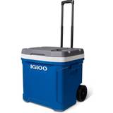 Cool Bags & Boxes Igloo Igloo Latitude 60-Quart Roller Cooler