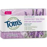 Dermatologically Tested Bar Soaps Tom's of Maine Natural Beauty Bar Lavender & Shea