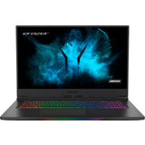 2560x1440 Laptops Medion Beast X25 (30033309)