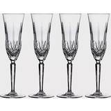 Marquis Waterford Maxwell Champagne Glass 17.7cl 4pcs